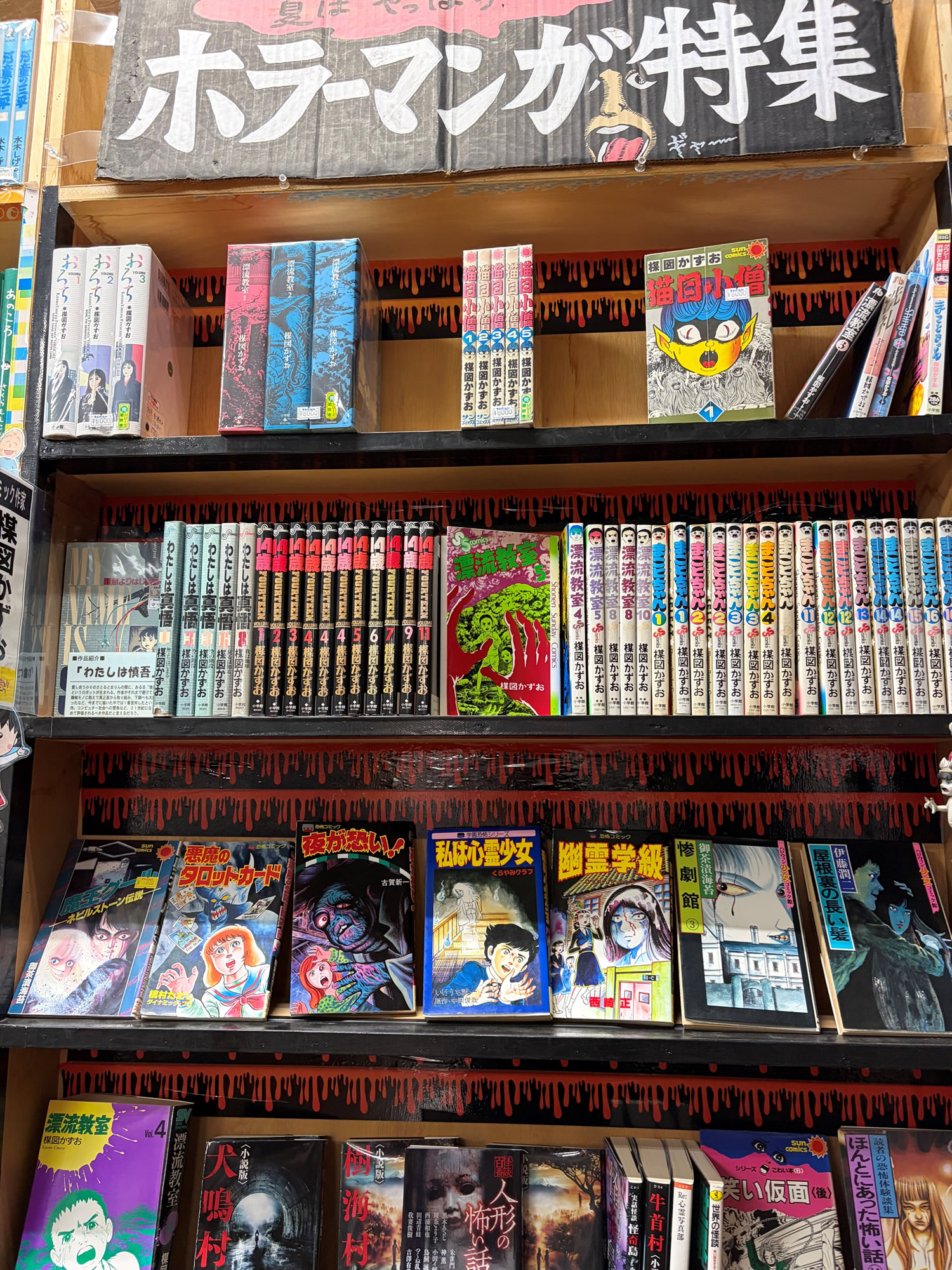 福岡宗像店】今月のコーナー(2026年7月) – ほんだらけ